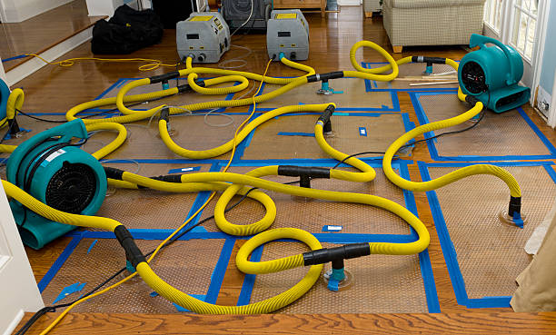 Professional Sewage Cleanup technician working in Central City, KY